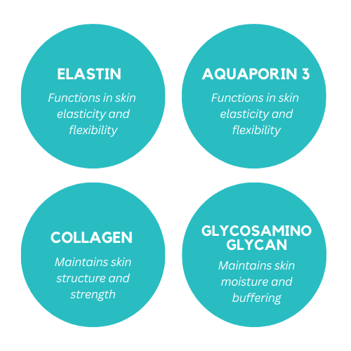 Key Ingredients in Skinvive